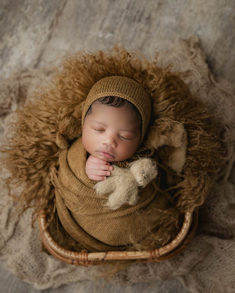 Sleeping Newborn In A Woven Basket Holding A Teddy Bear With Timeless Newborn Photography Props.