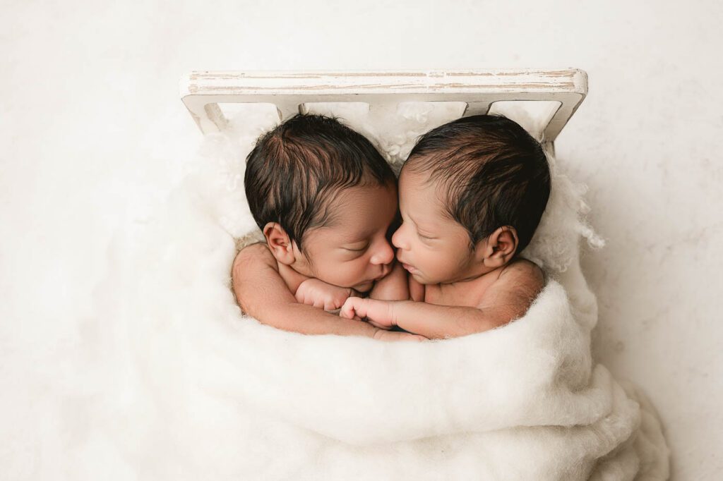Posed Twin Newborn Photography Dallas