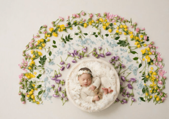 A Baby Sleeps In A White, Round Basket With A Fluffy Lining, Surrounded By An Arc Of Yellow, Purple, Pink, And Blue Flowers On A White Background—An Exquisite Example Of Artistic Baby Photography That Effortlessly Captures The Little One'S Charm.