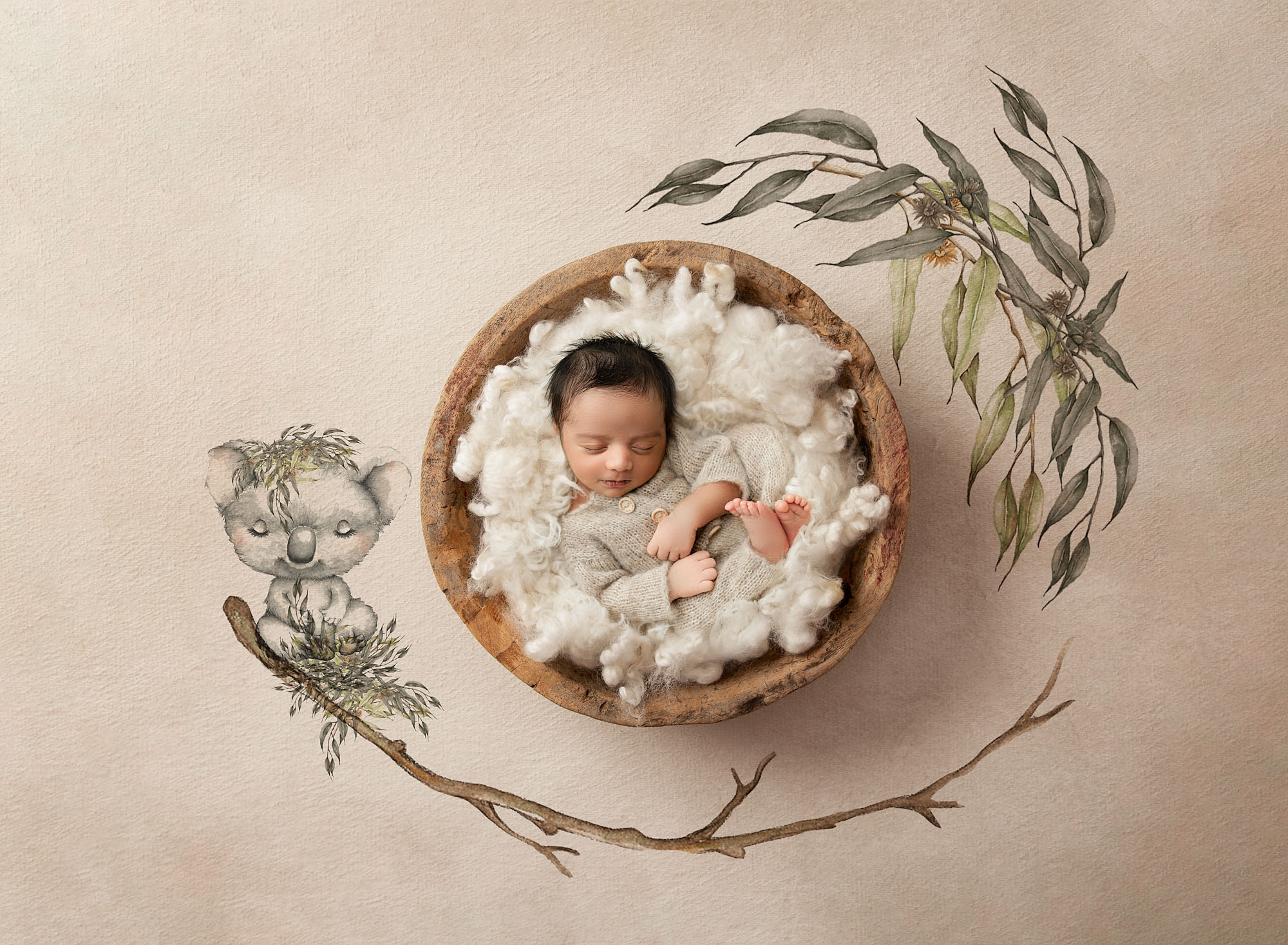 Newborn Baby Sleeping In A Rustic Bowl Surrounded By Soft Wool With Hand-Painted Koala And Eucalyptus Background – Dallas Newborn Photography