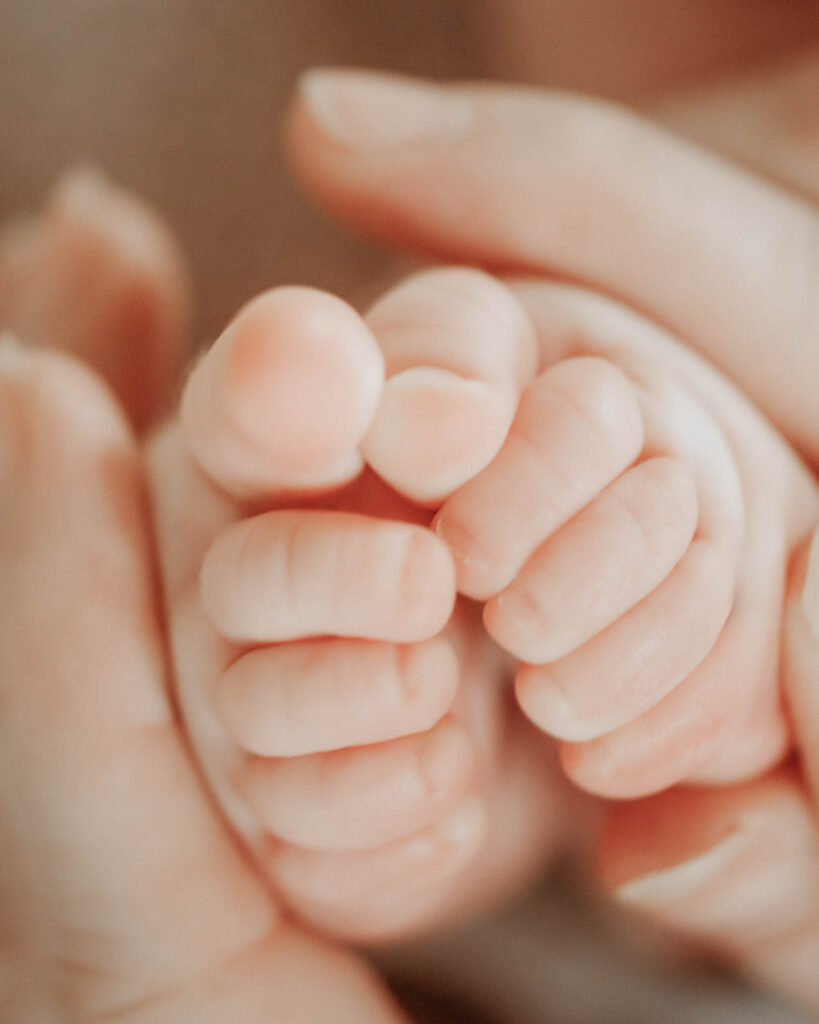 Closeup Newborn Detail Photo Of Tiny Baby Feet And Hands