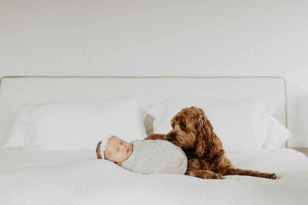 Lifestyle Newborn Session At Home With Family Dog In Dallas