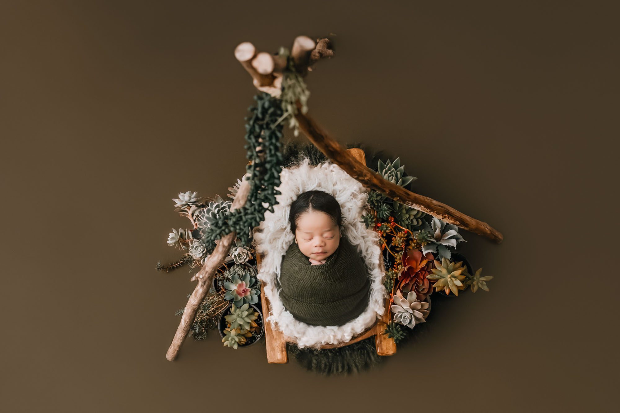 Affordable Newborn Photographer – Baby Swaddled In Green With Natural Wood And Succulent Decor