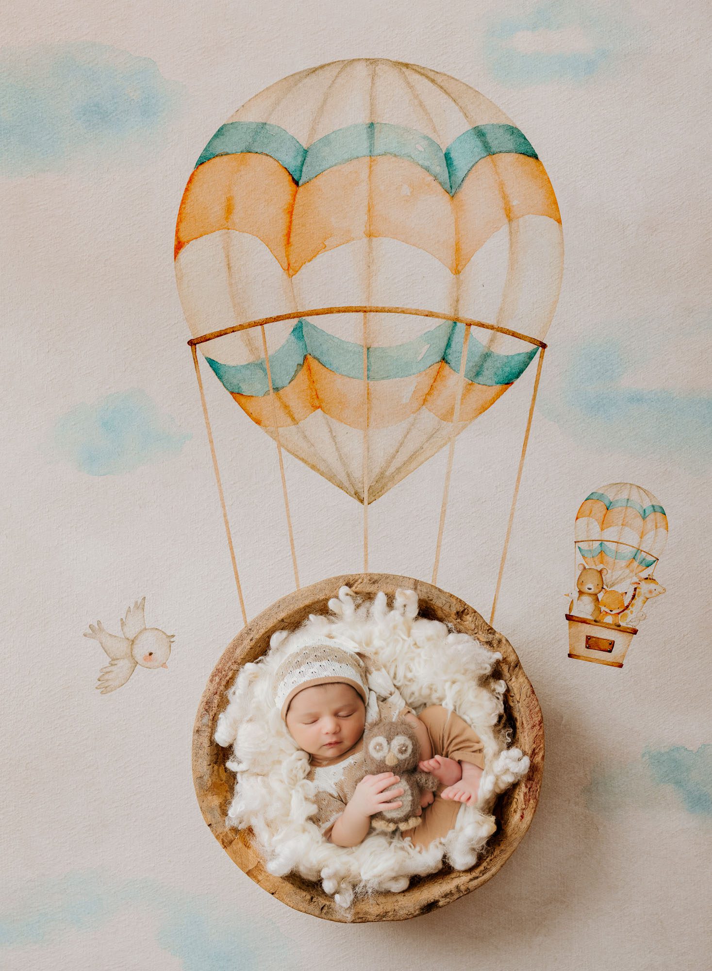 Baby In Basket With Hot Air Balloon Theme – Dallas Newborn Photographer