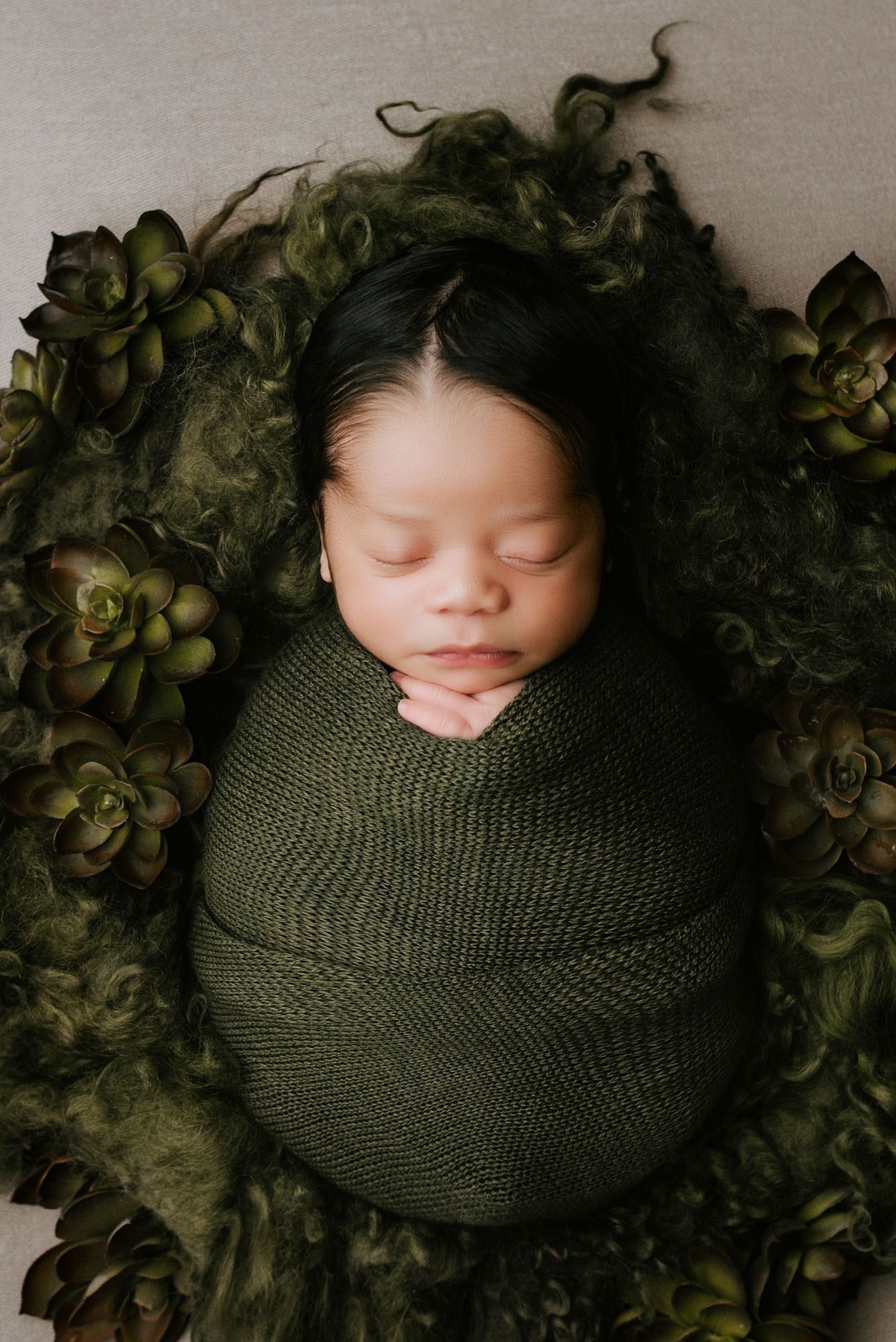 Sleeping Newborn Baby Wrapped In Forest Green Surrounded By Succulents – Dallas Newborn Photographer