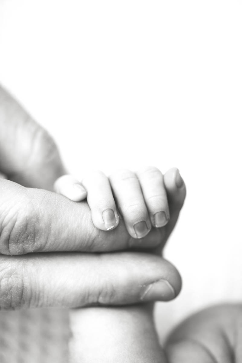 Dallas Newborn Hand Detail Parent