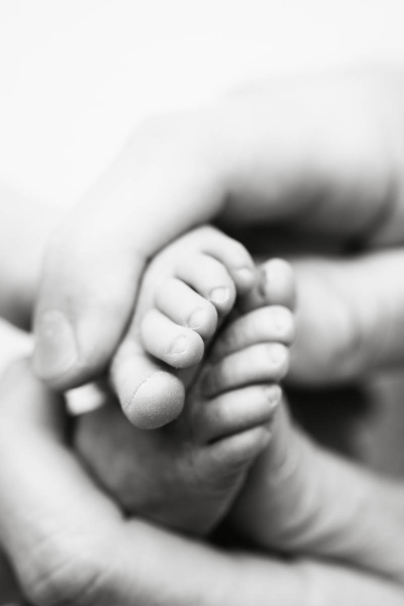 Newborn Baby Hands Close Up Dallas