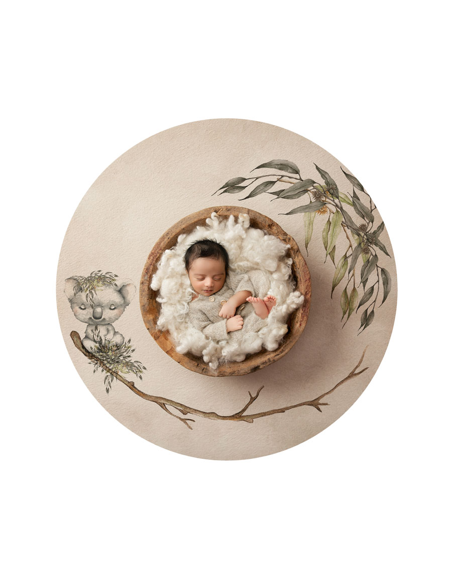 Dallas newborn photography baby in nature inspired nest setup