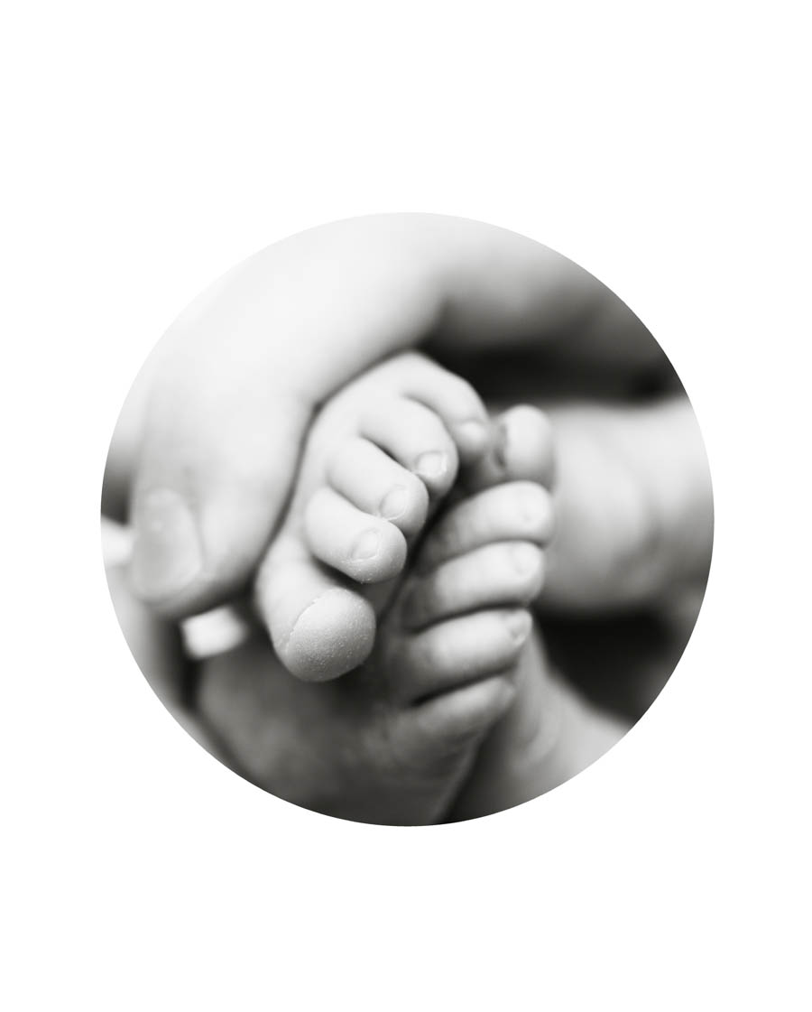 Newborn baby feet in hands in a soft studio portrait in Plano Texas
