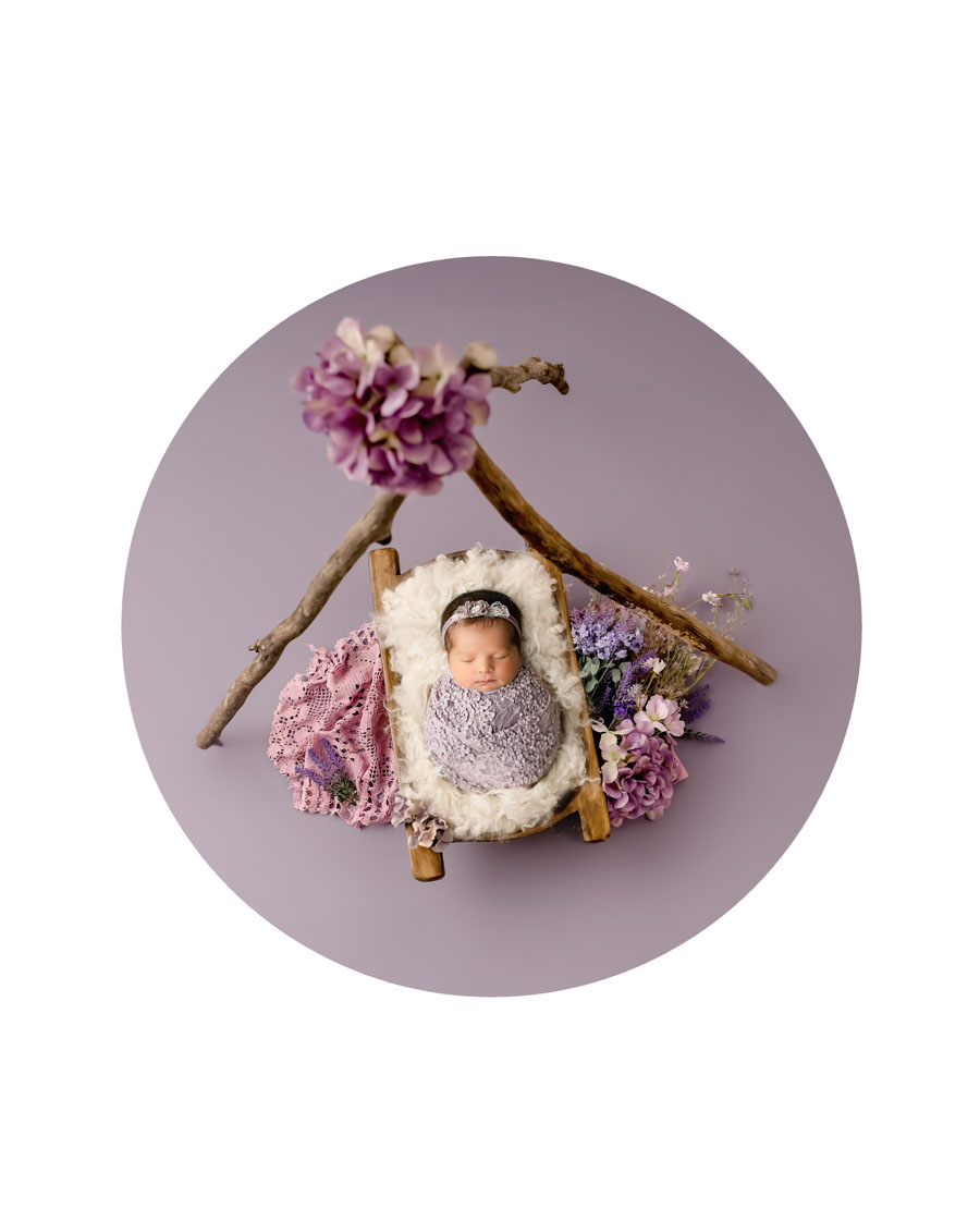 Newborn photography Dallas baby posed in floral branch setup