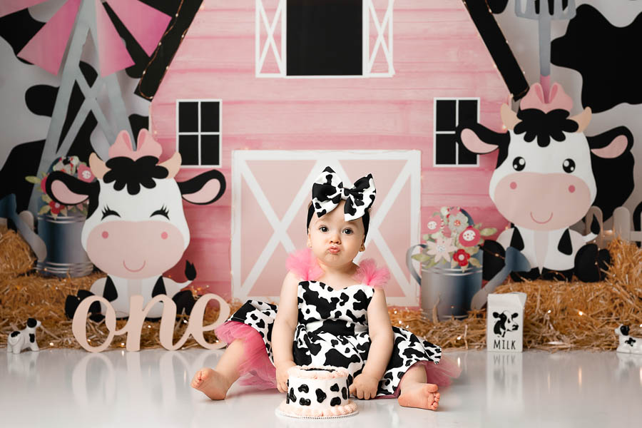 Dallas Cow Themed Cake Smash Photography Session For First Birthday Portraits